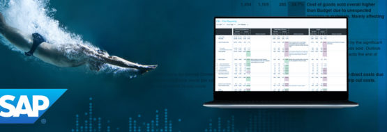 Blog Sap Deep Dive