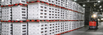Primary Peco Pallet