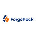 22 10 Cs Forgerock For Angles For Netsuite Logo