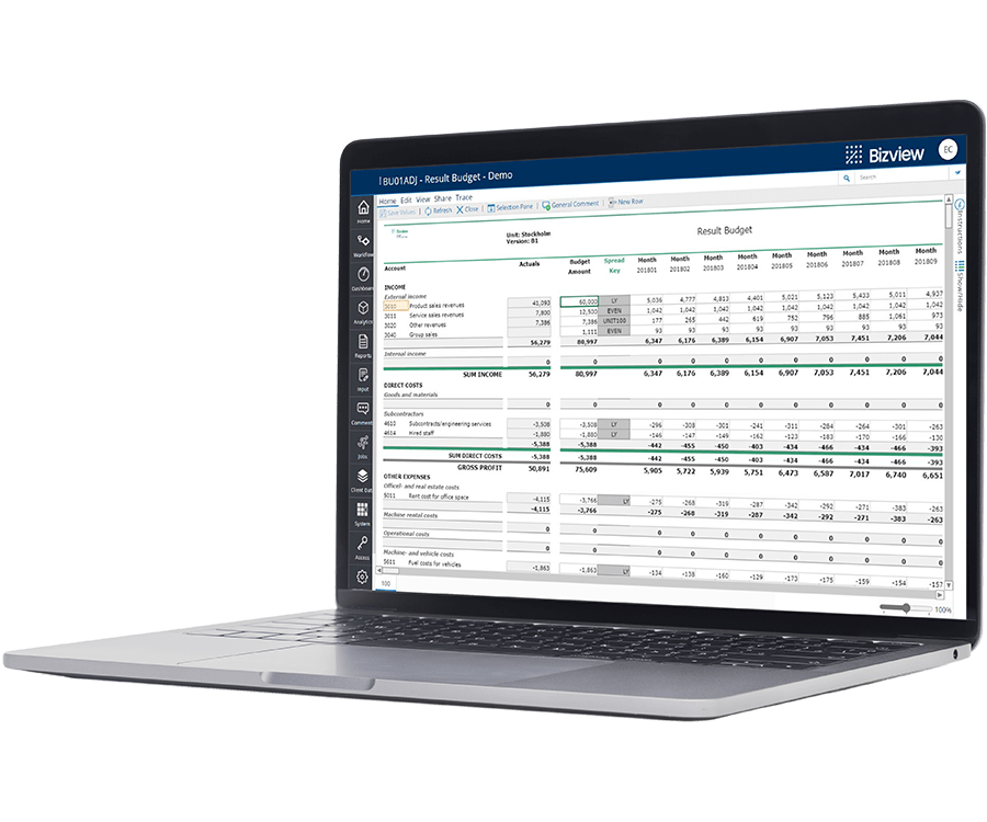 Bizview Feat1 Resultbudget