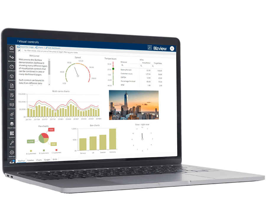 Bizview Feat4 Visualcontrols