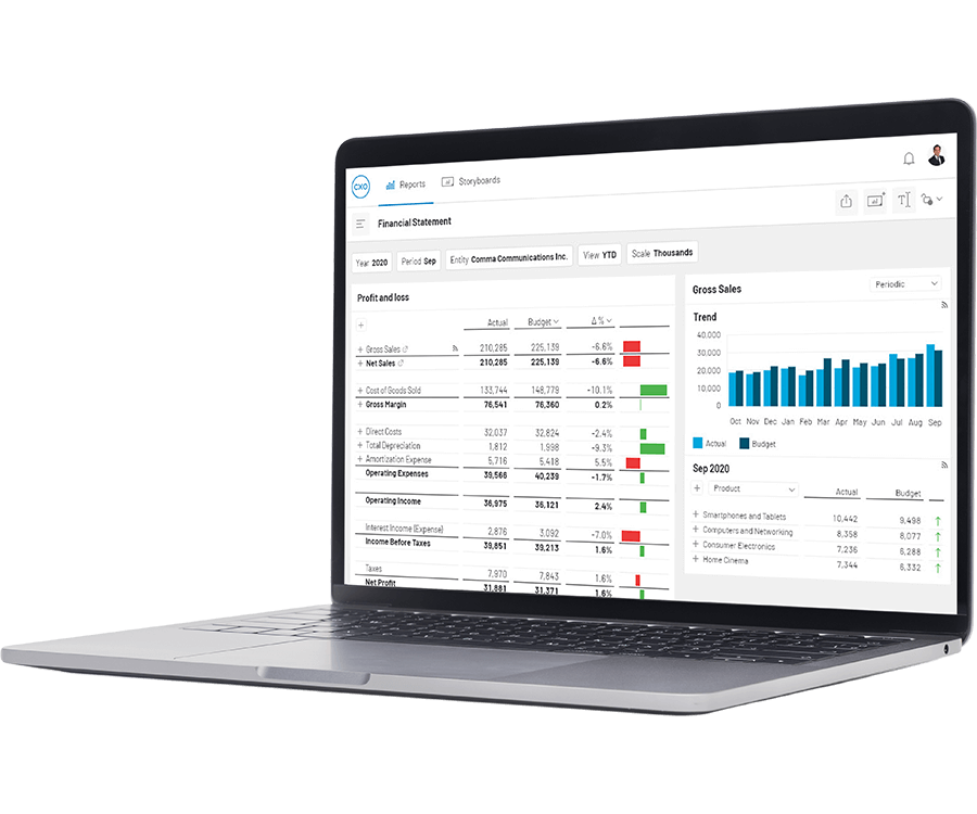 Cxo Built For Strategic Financial Reporting (1)