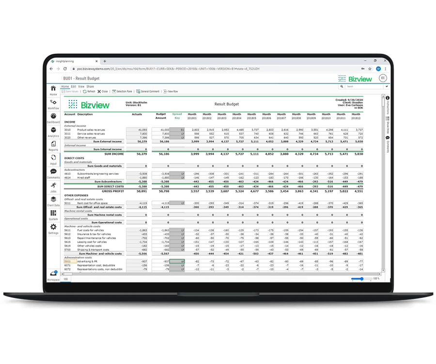 Dynamicsnav Bizview (2)