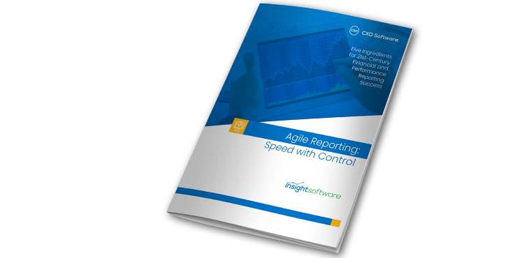 Is Resource Cxo Agile Reporting2