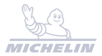 Michelin 200x110