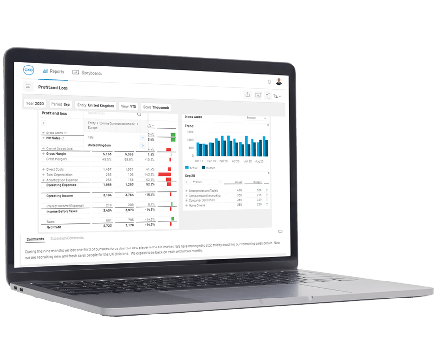 Sap Bpc Strategicreporting 2