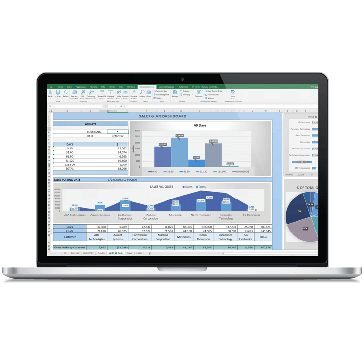 SAP Business One Reporting and BI Software